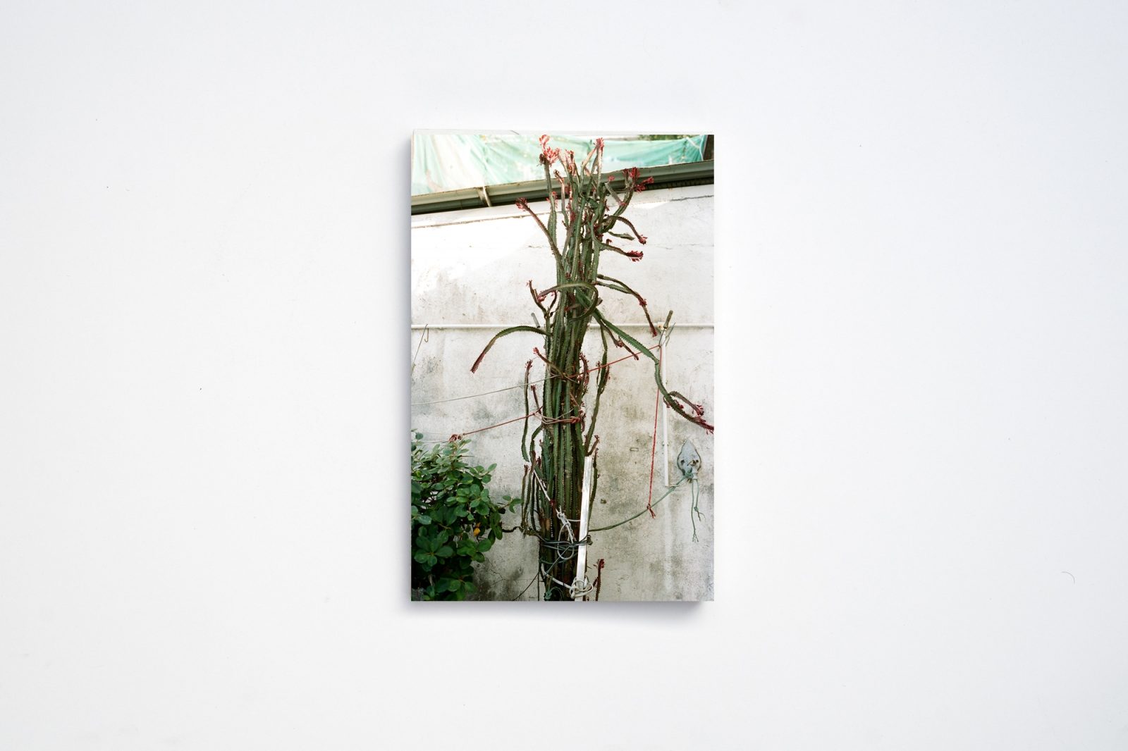 Postcards | Hong Kong