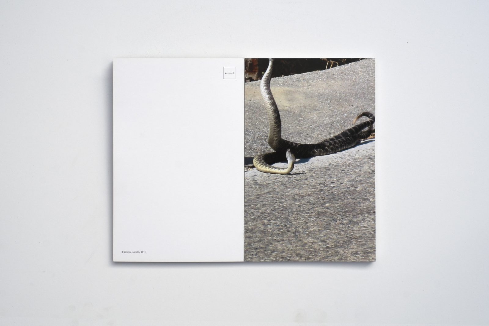 Postcards | LA