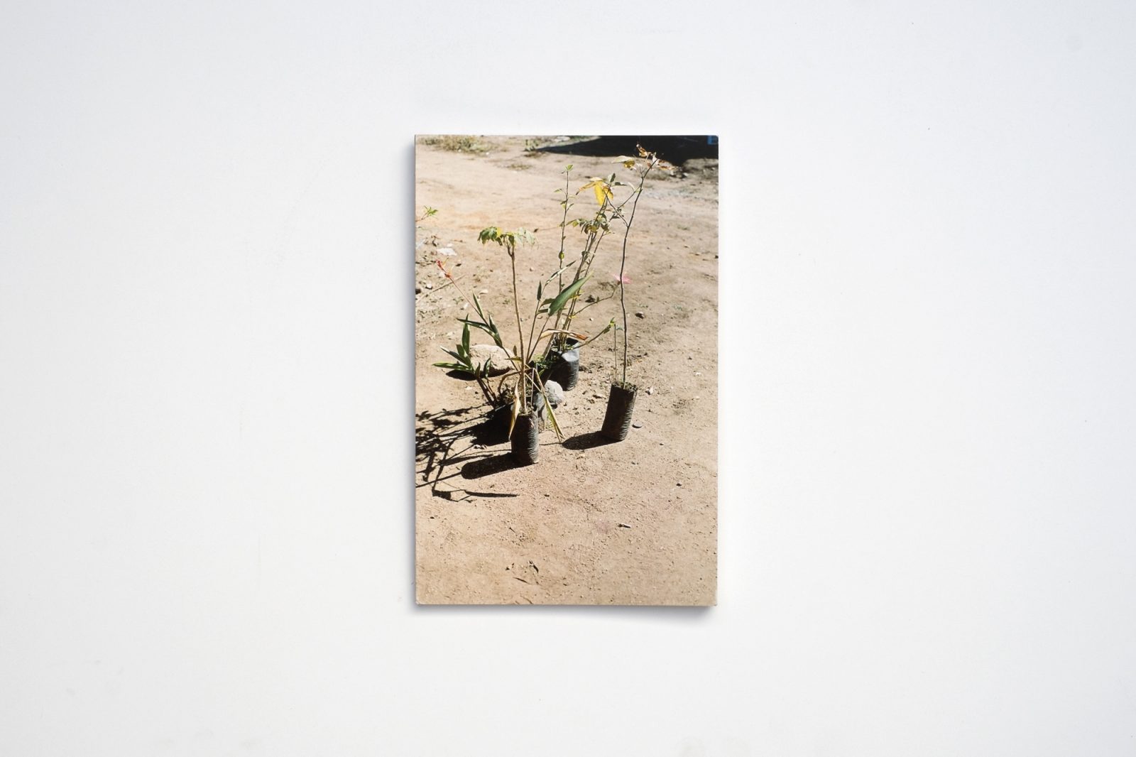 Postcards | Mexico