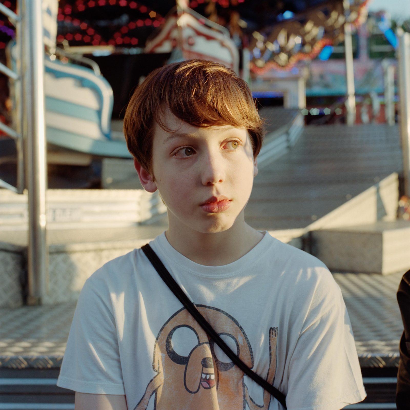 Goose Fair