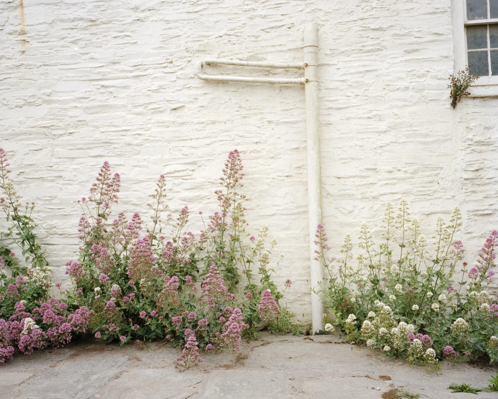 M Le Monde, Cornwall