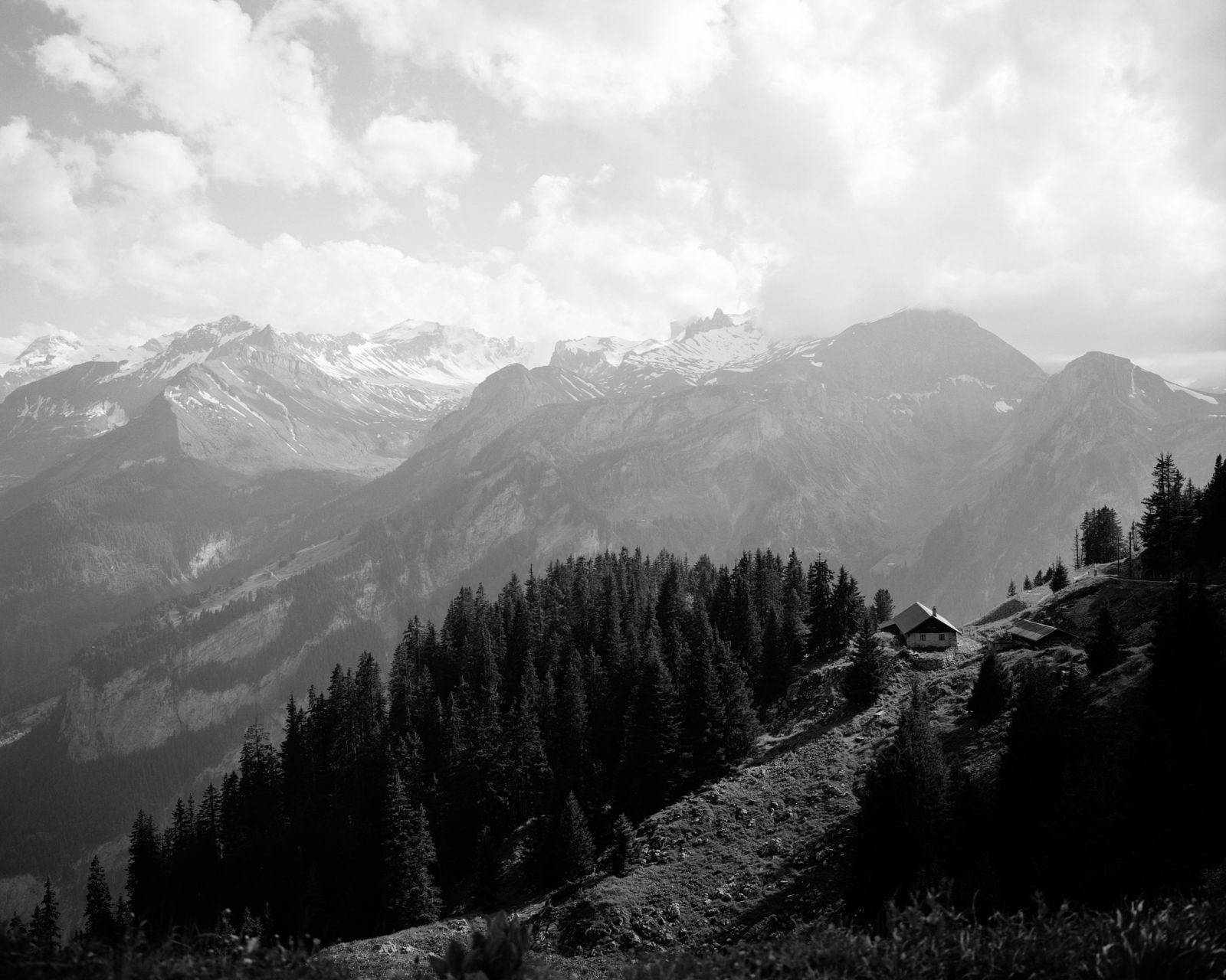 Pleasure Garden, Switzerland