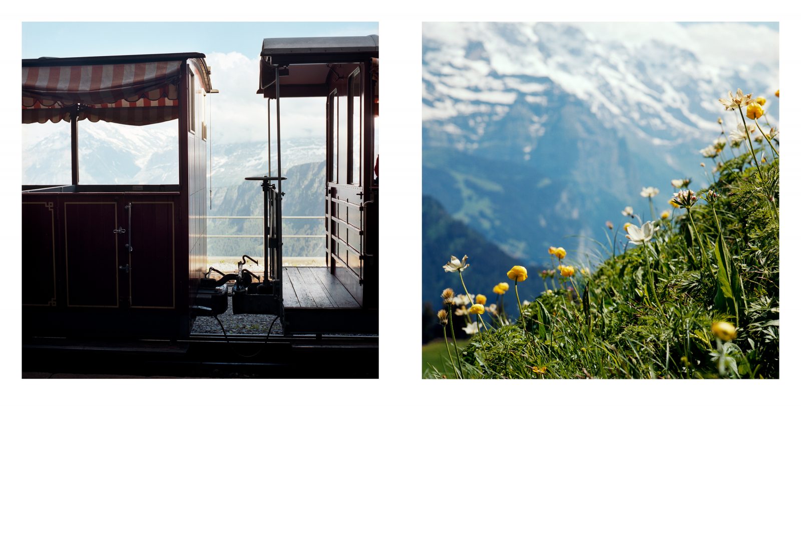 Pleasure Garden, Switzerland