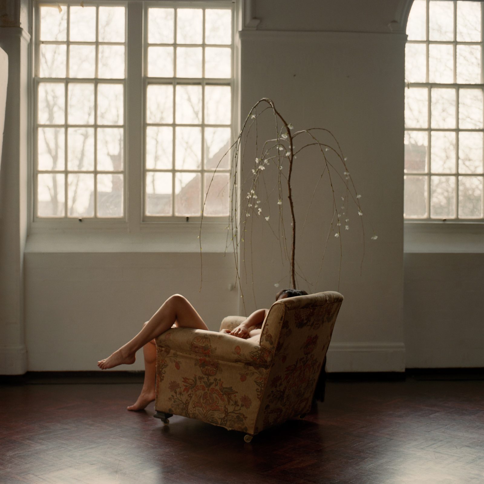 Pleasure Garden, Nudes