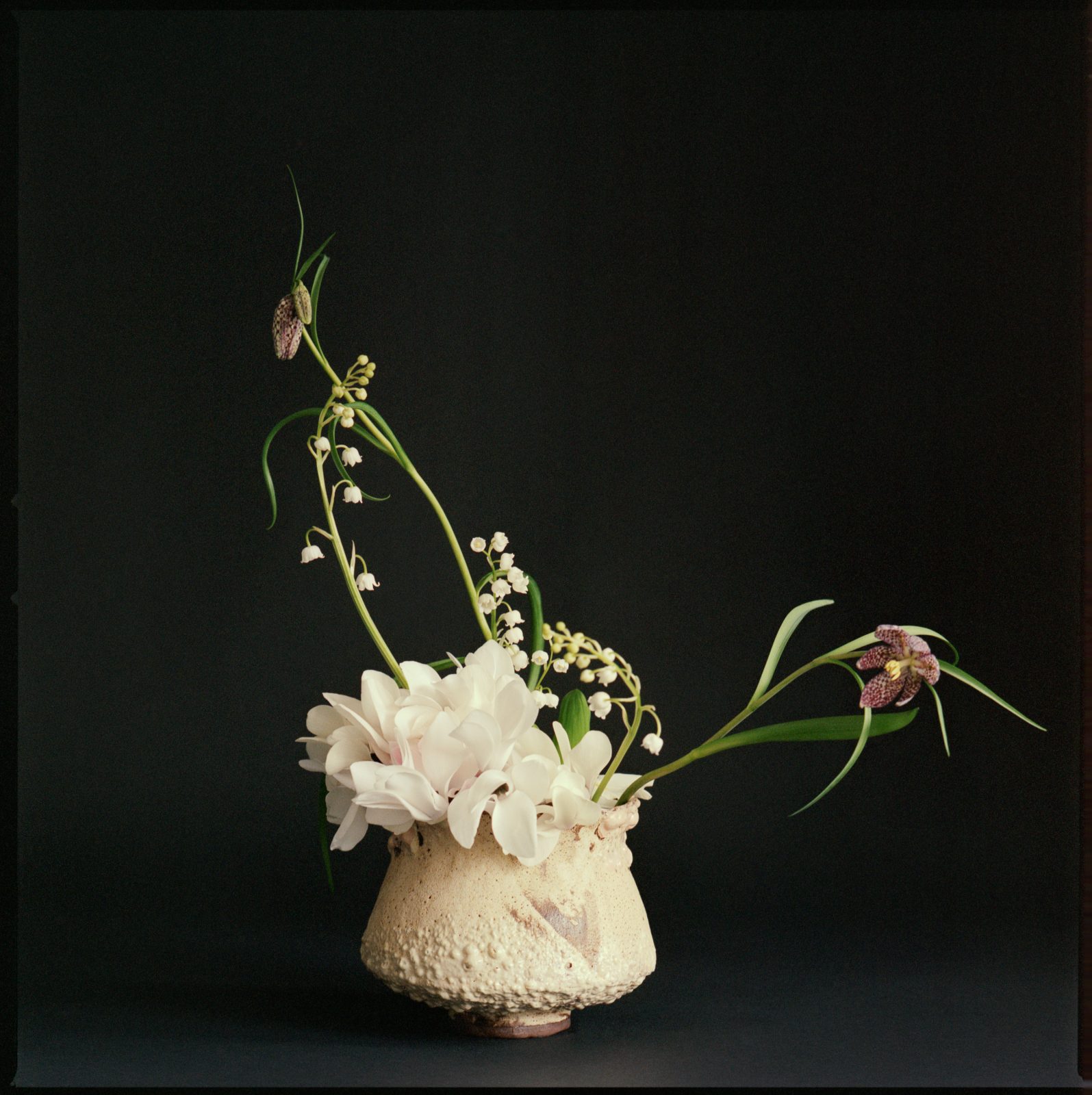 Pleasure Garden, Nudes