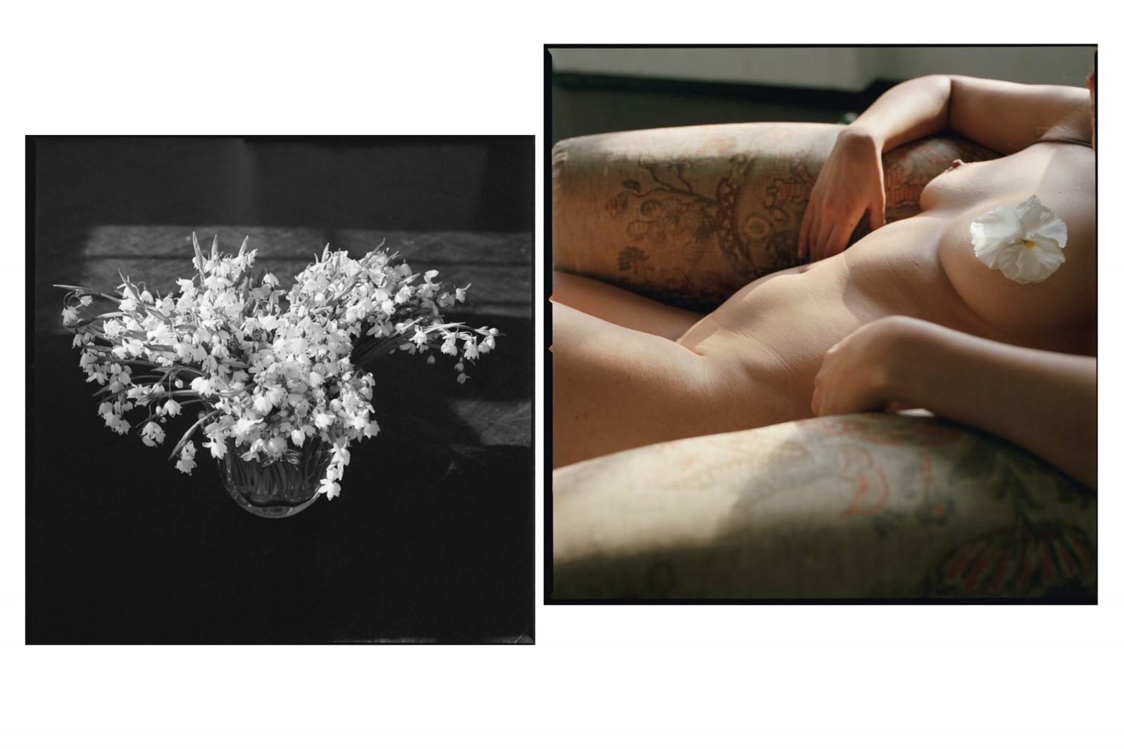 Pleasure Garden, Nudes