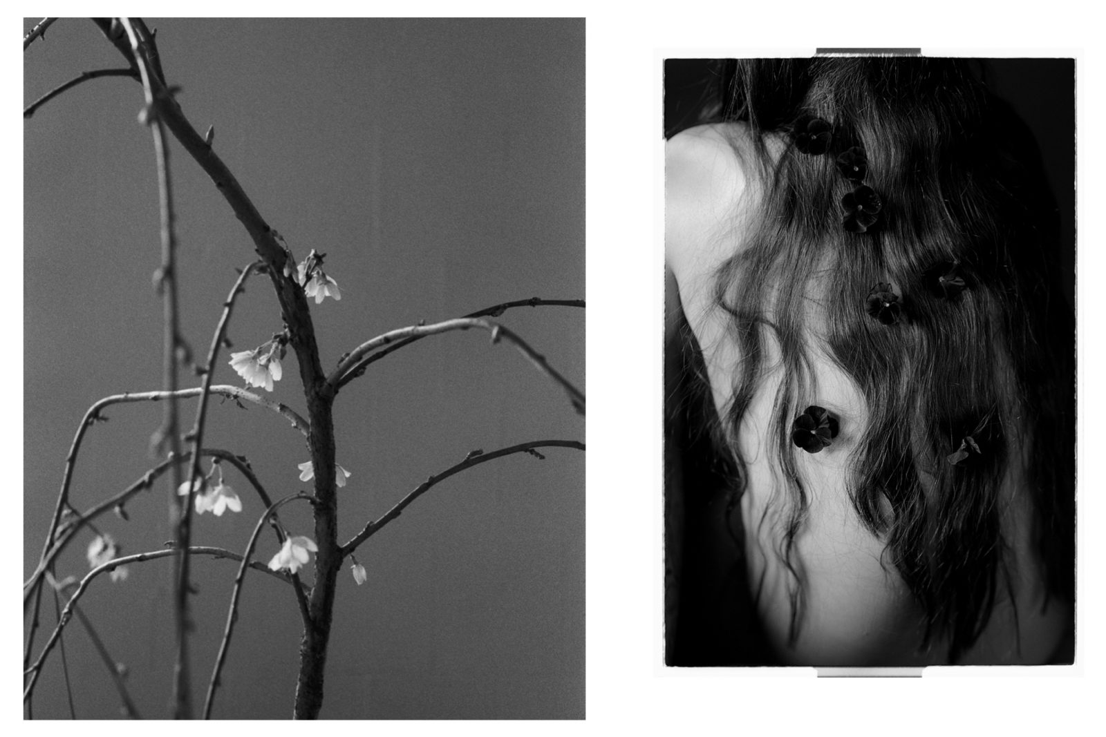 Pleasure Garden, Nudes