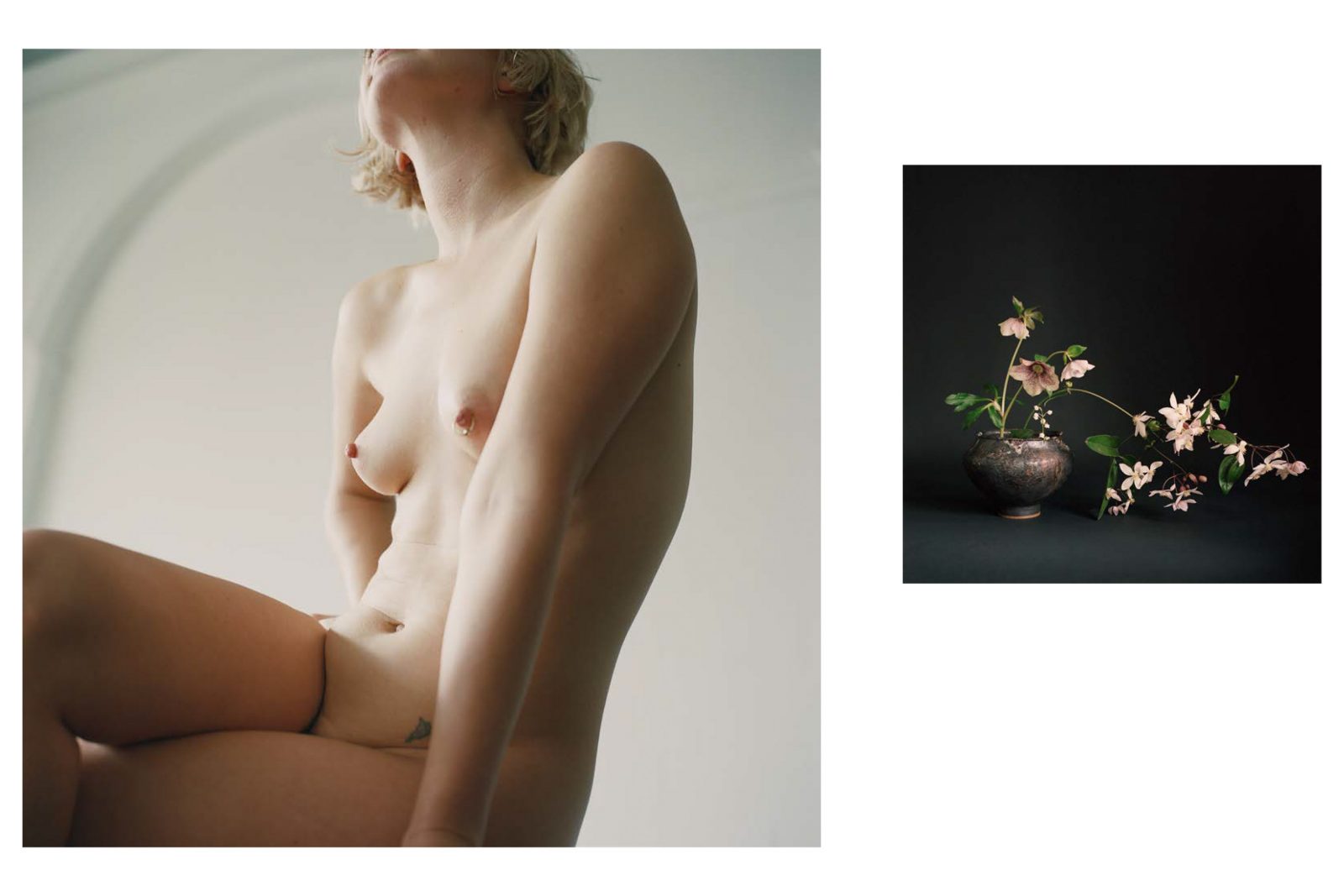 Pleasure Garden, Nudes