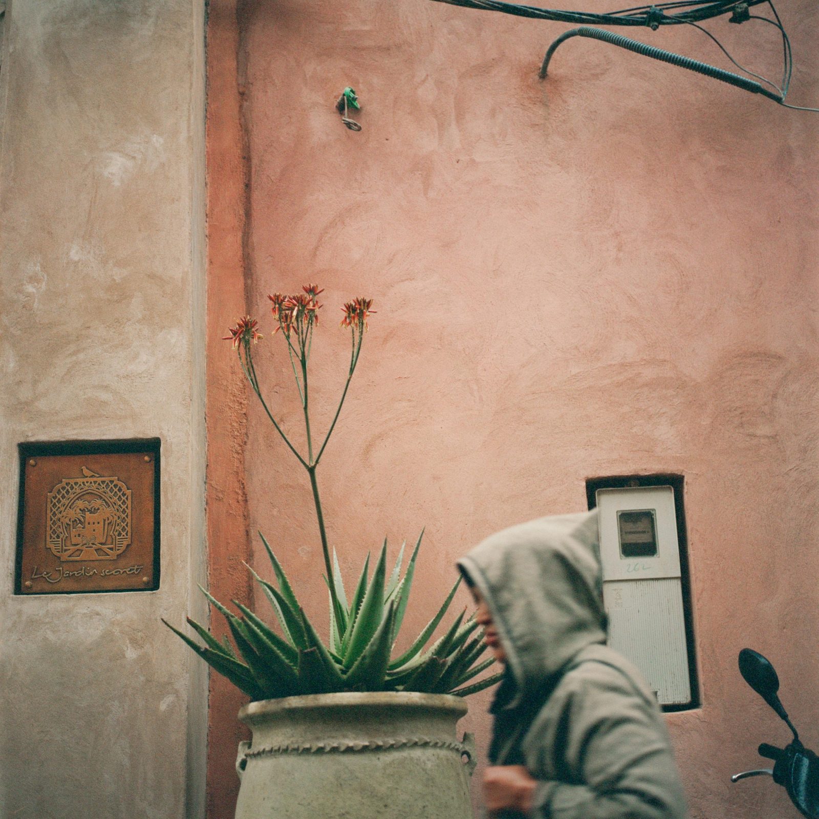 Pleasure Garden, Marrakesh