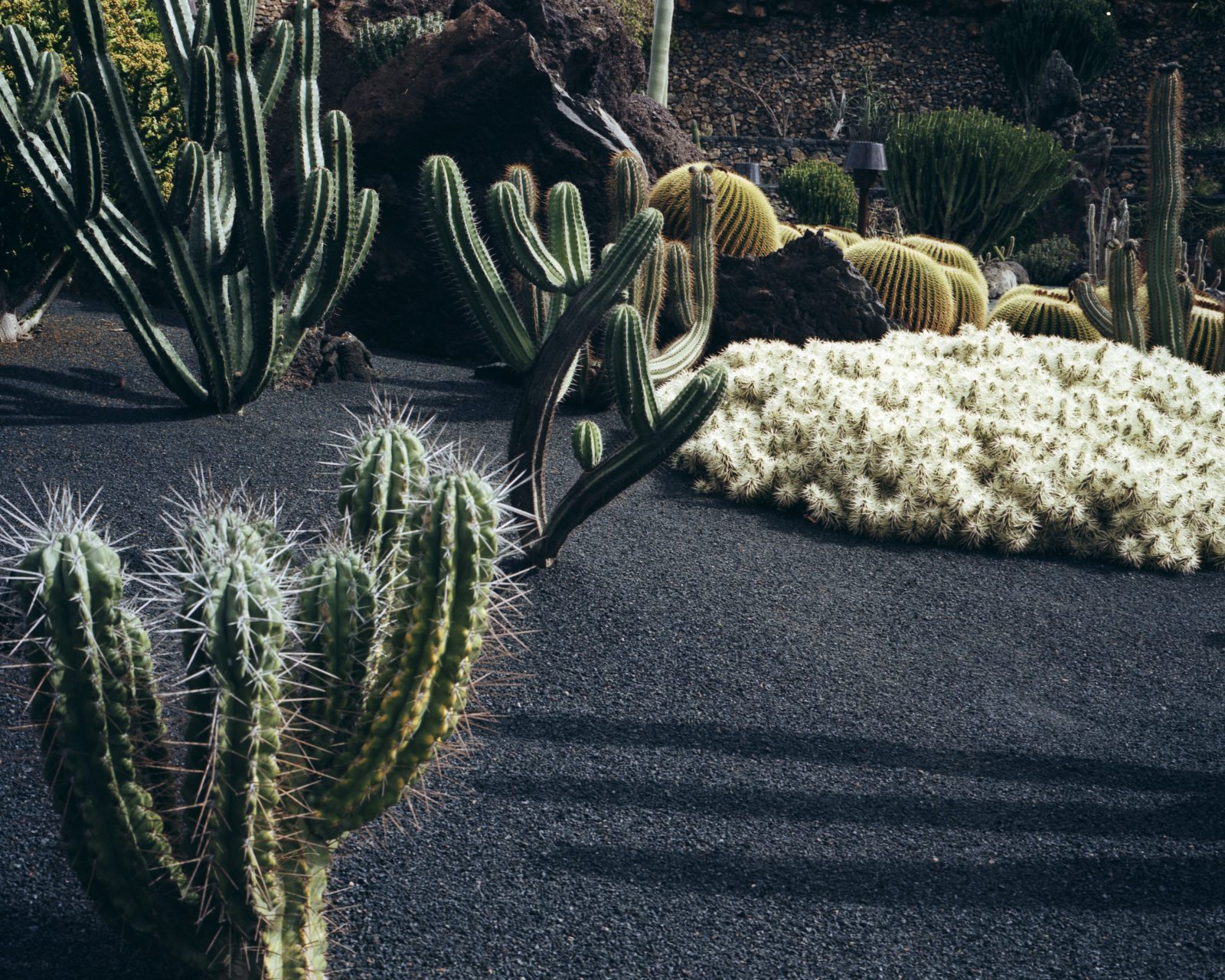 The Garden Edit