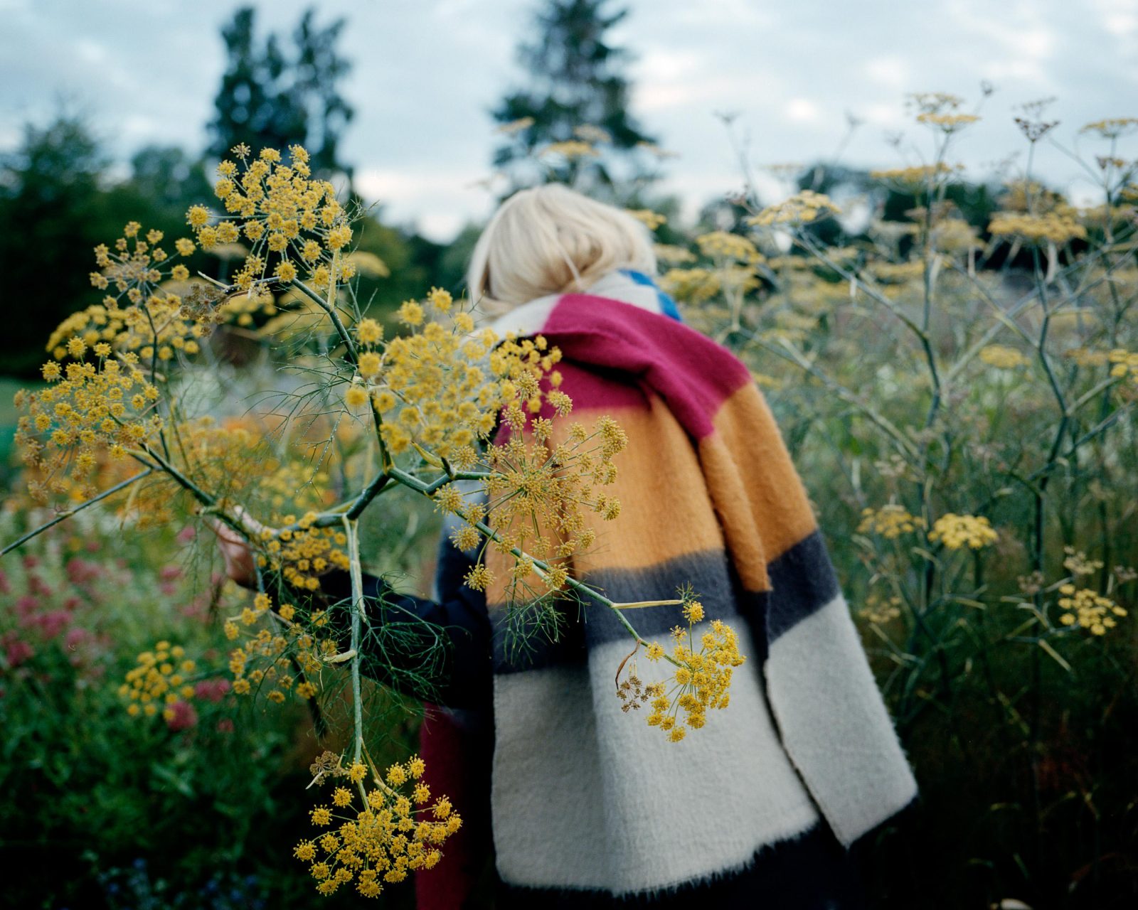 The Garden Edit