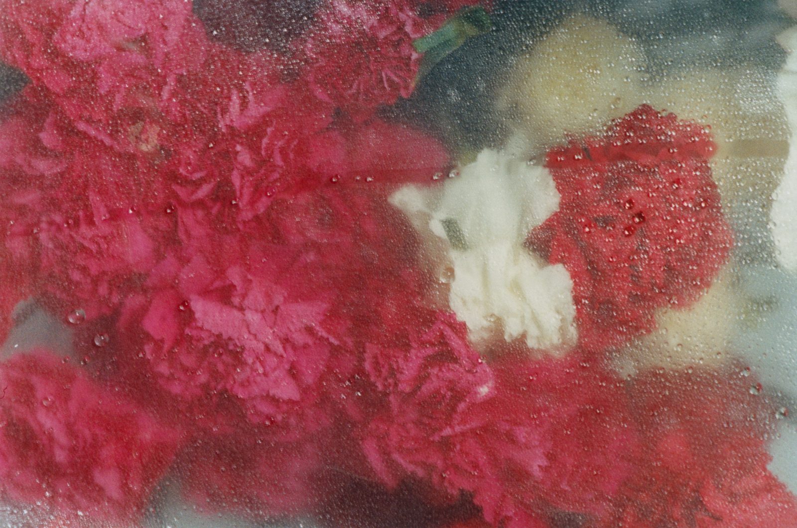 Yuhan Wang