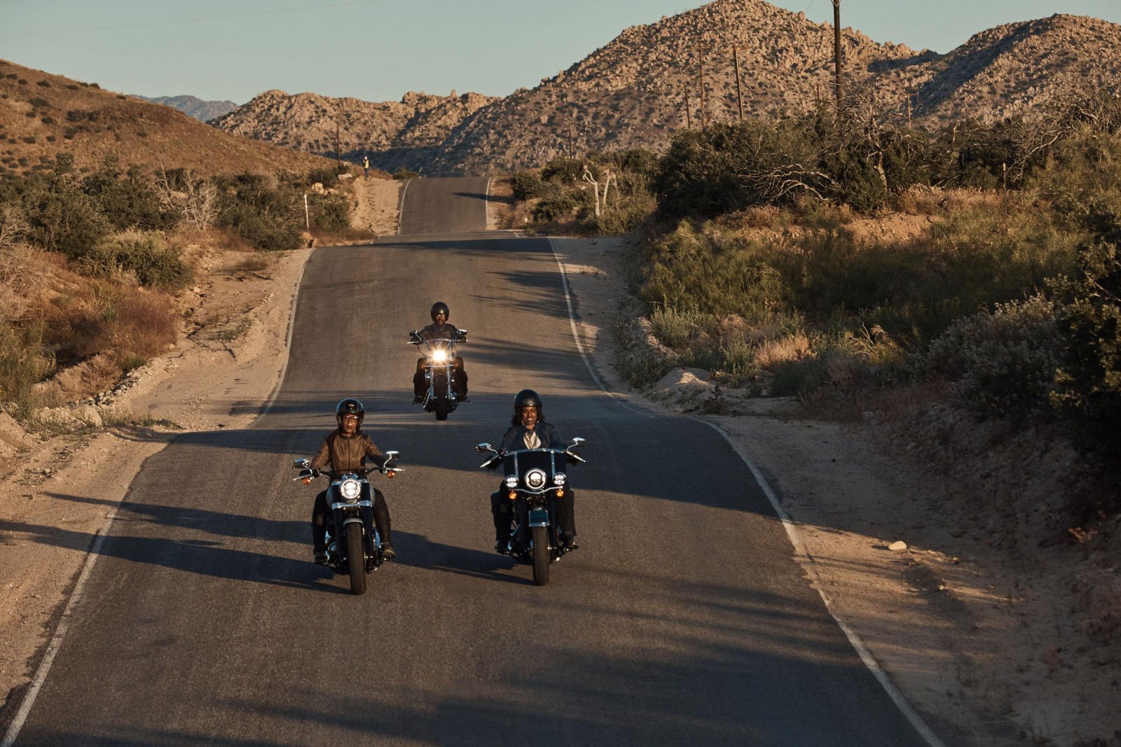 Harley-Davidson