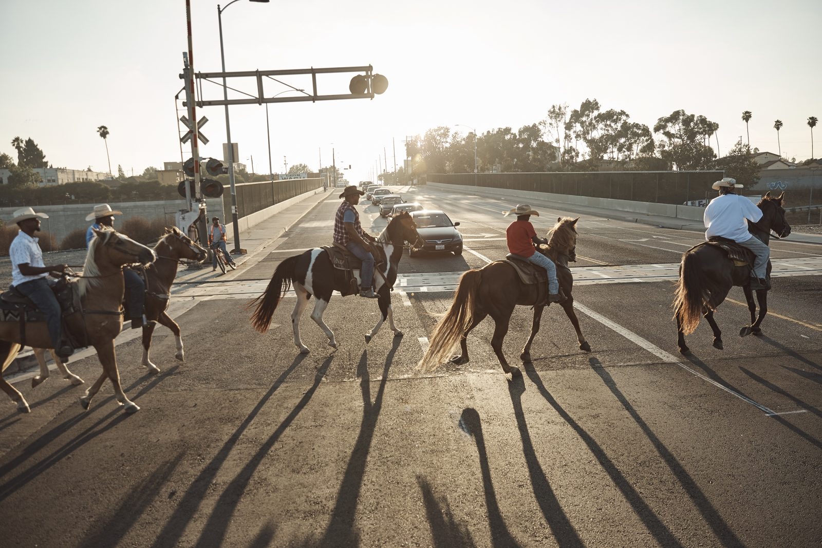South Central Cowboys