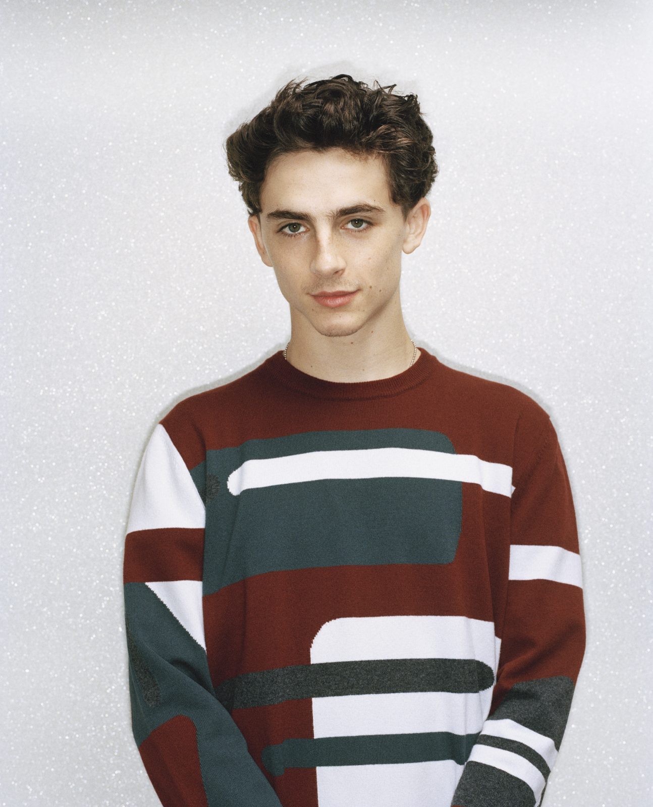WSJ, Steve Carell and Timothée Chalamet