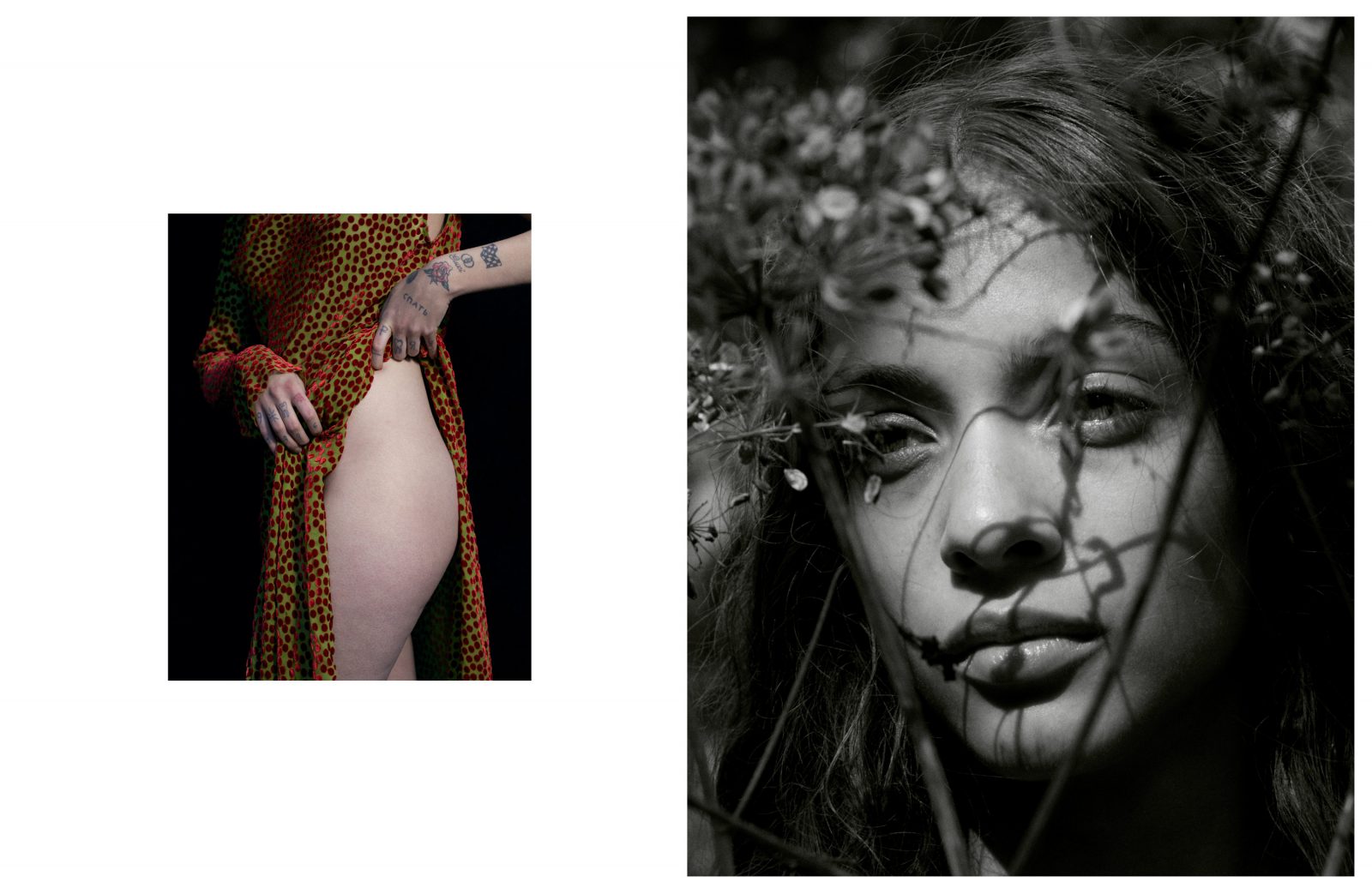 Pleasure Garden
