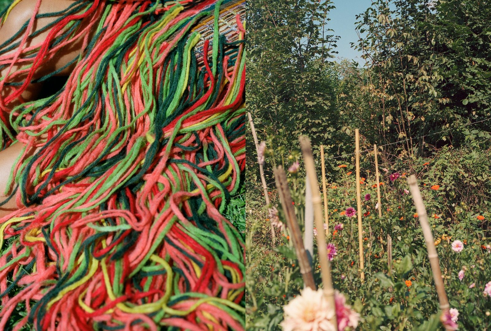 Missoni Family
