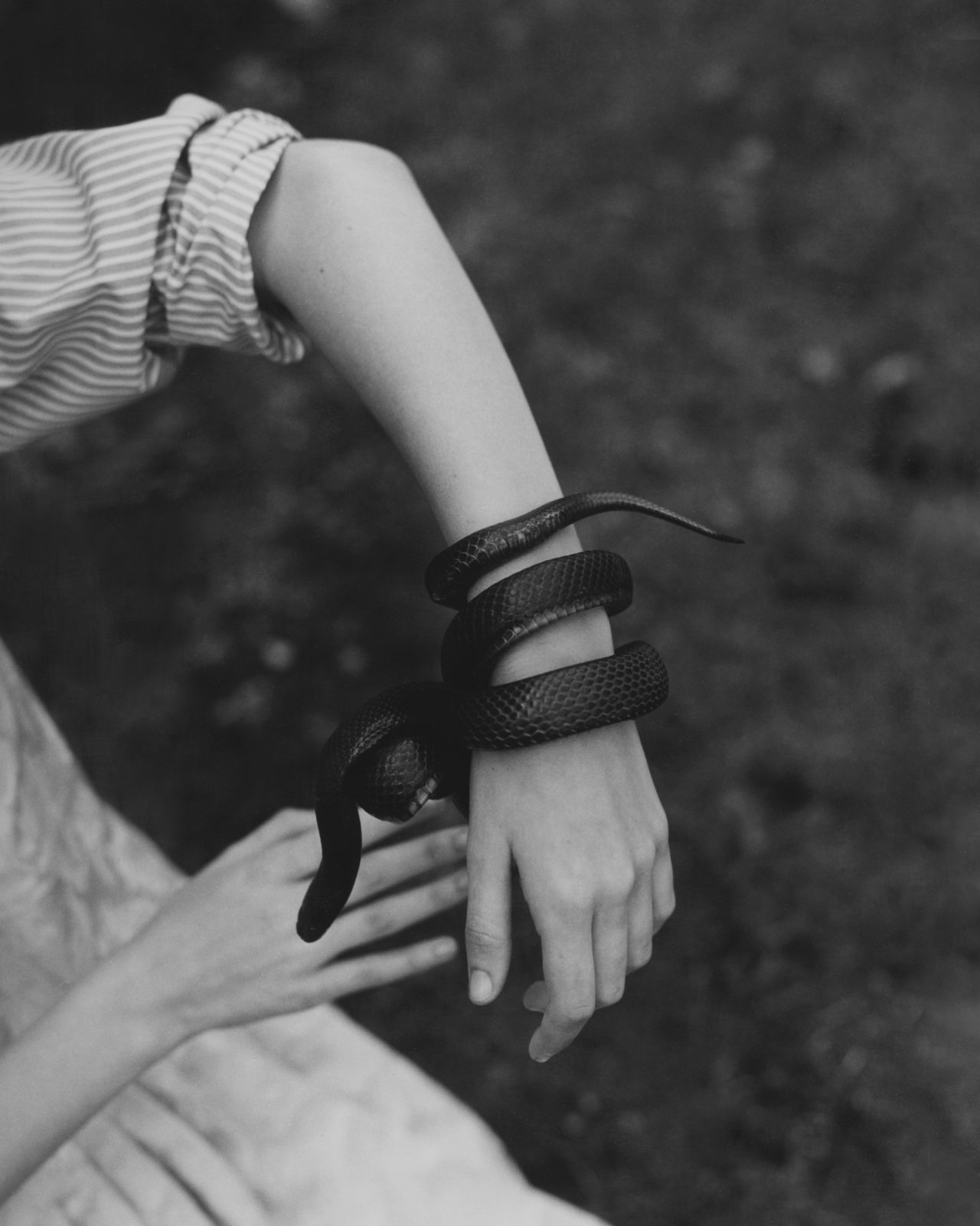 Revue, Photography by Stef Mitchell