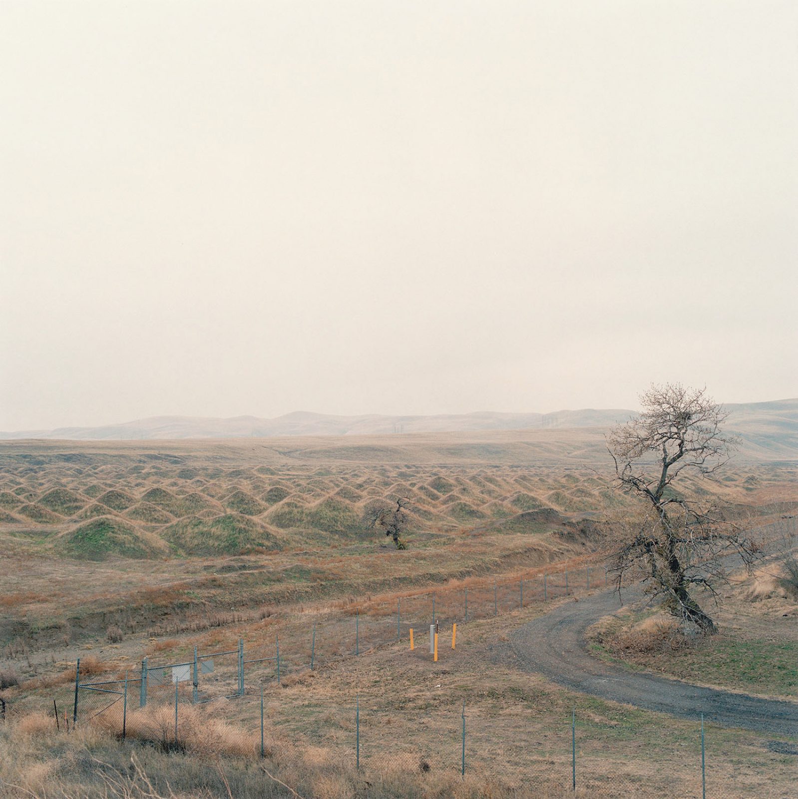 Landscapes