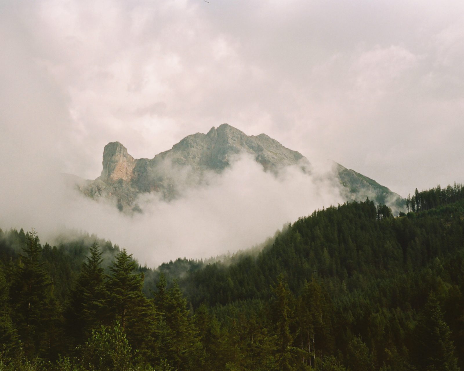 Landscapes