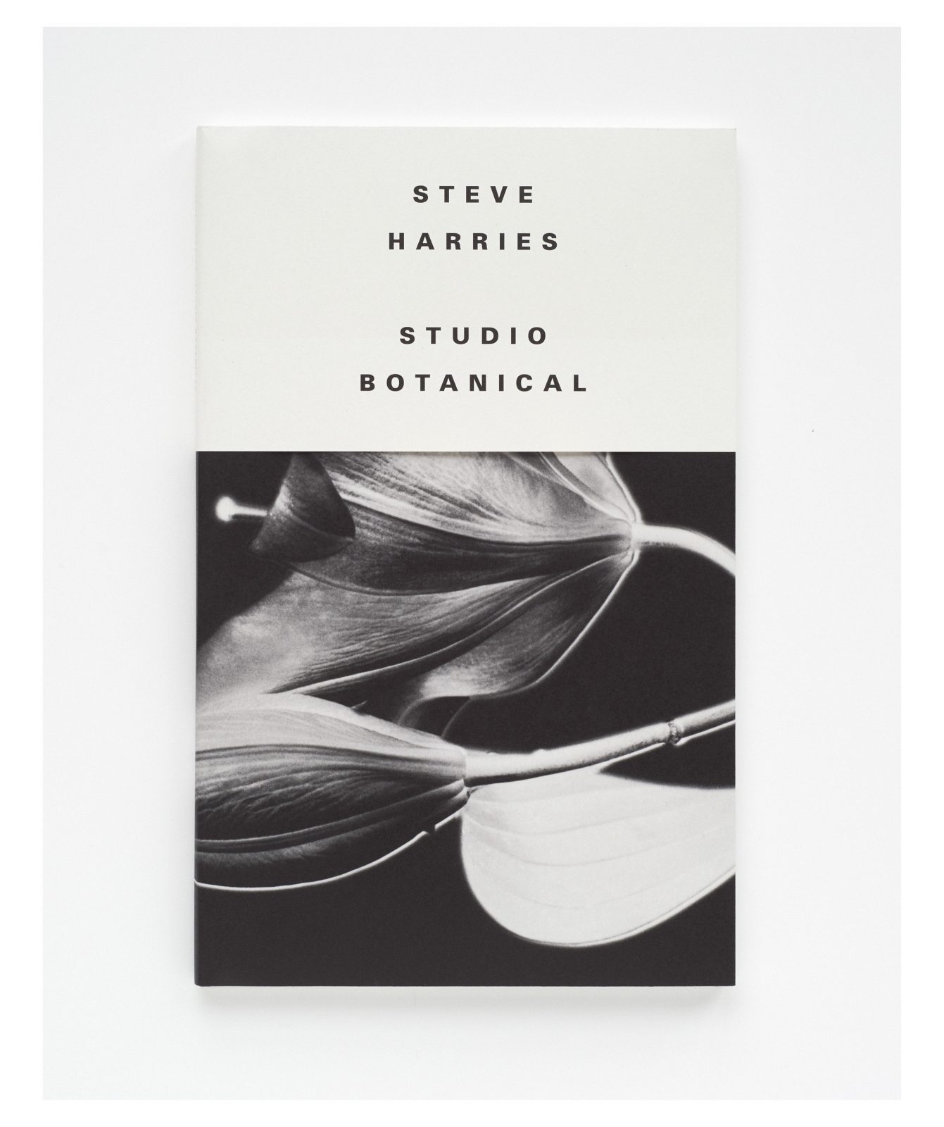Studio Botanical