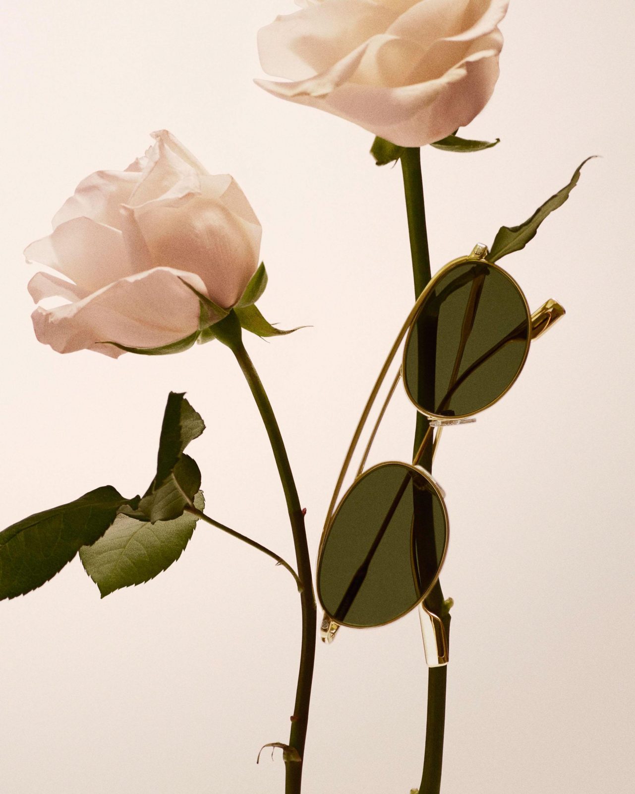 Burberry, Photography by Brianna Capozzi