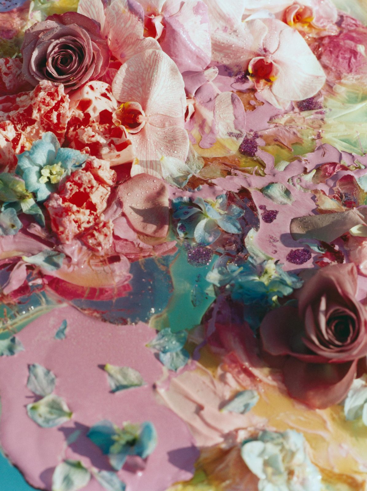 Revue, Photography by Laura Coulson