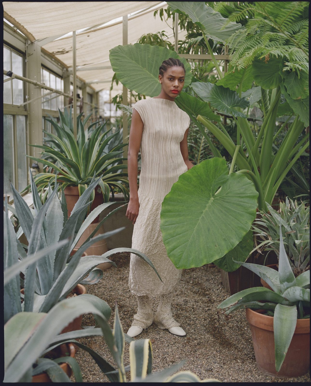 T Mag, Photography by Dario Catellani