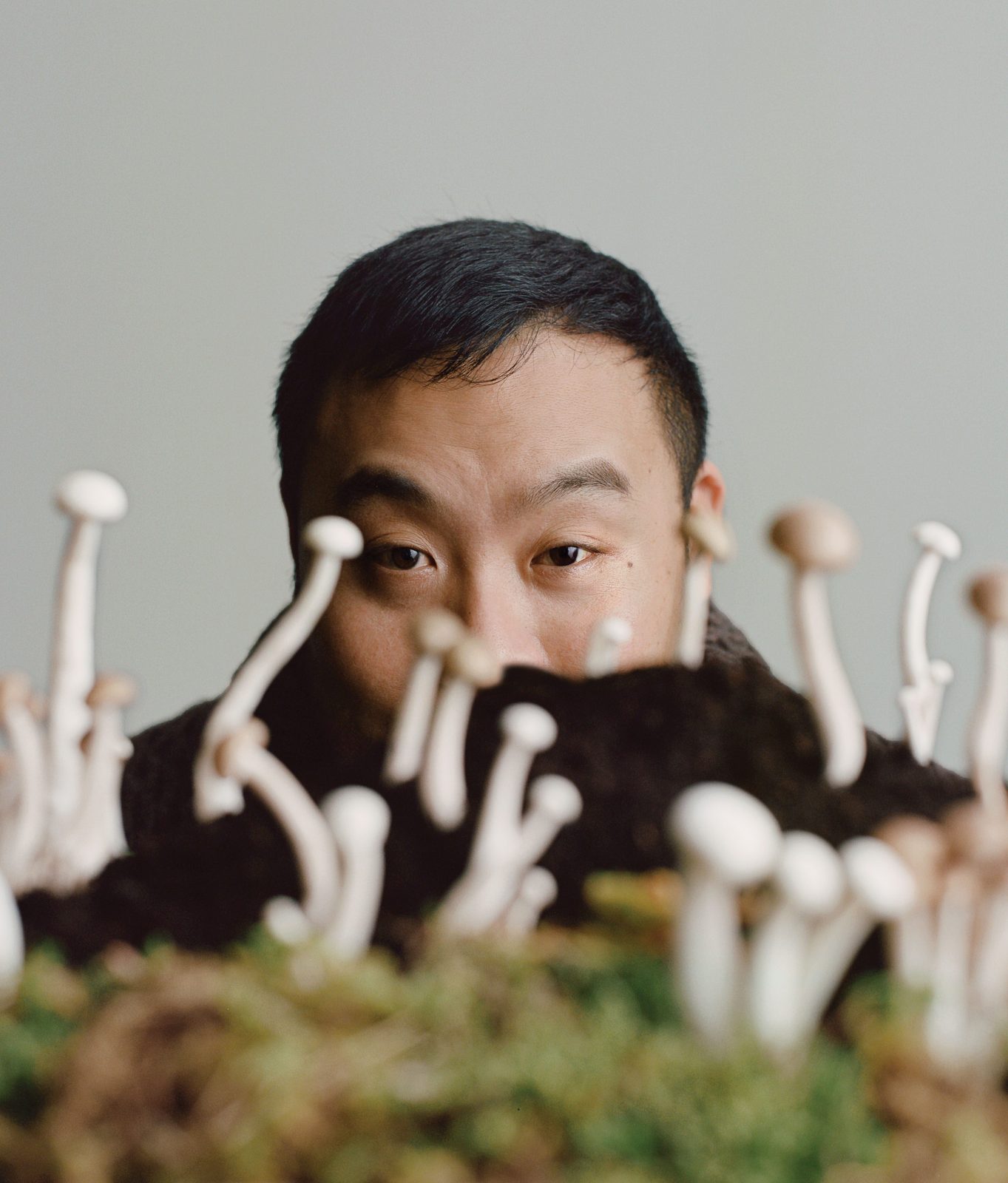 WSJ, Photography by Dario Catellani