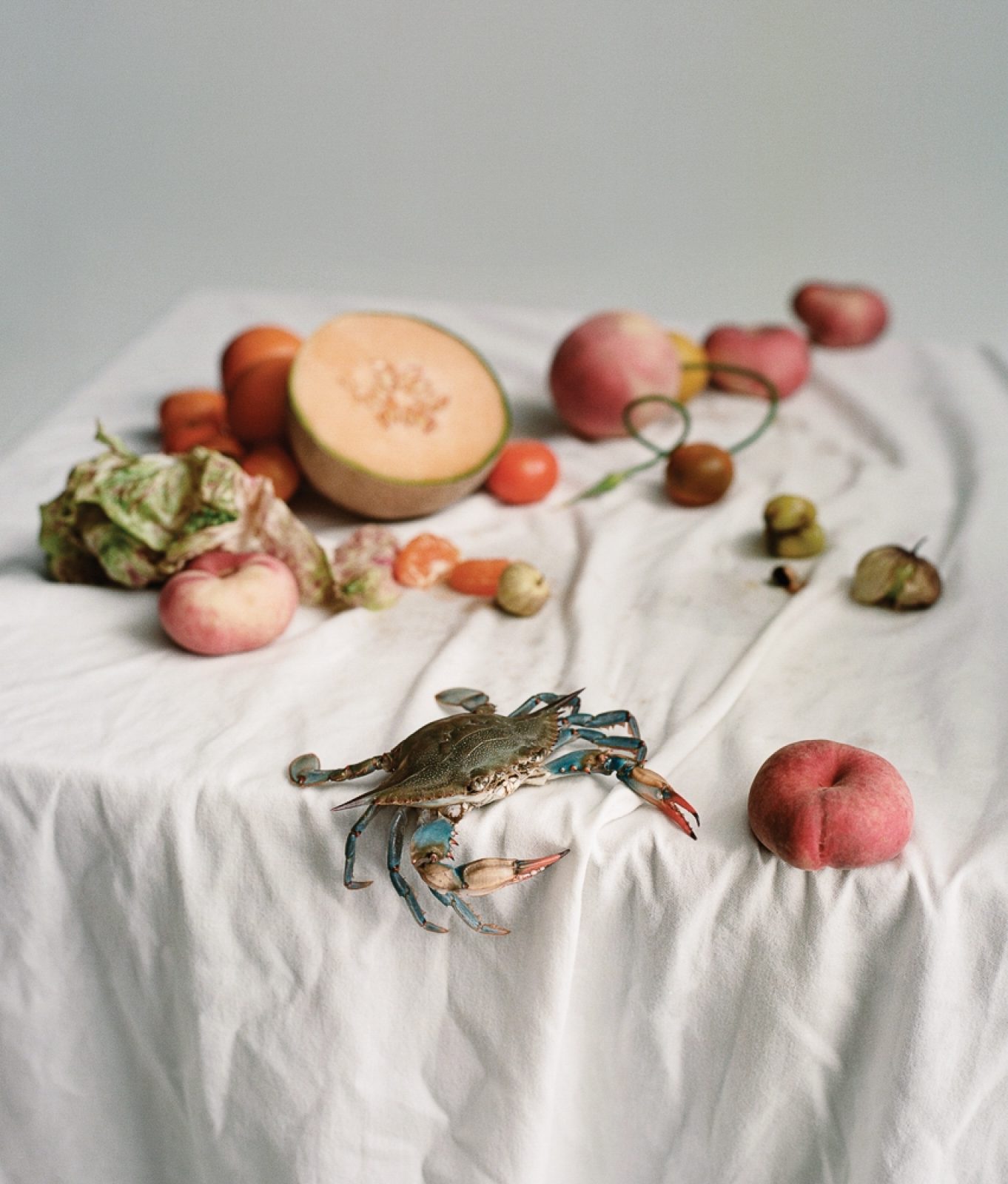 WSJ, Photography by Dario Catellani