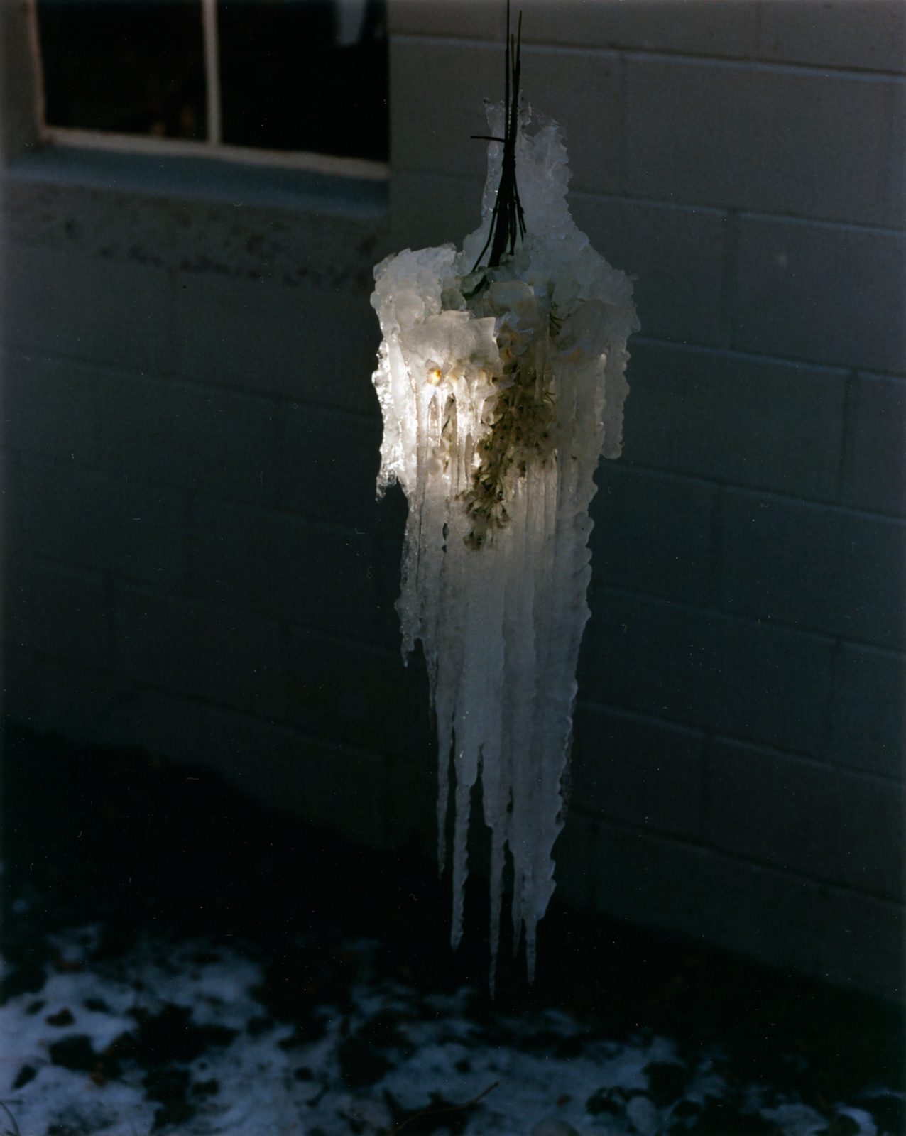 East of the Sun West of the Moon — Editions — Webber