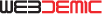 webdemic logo