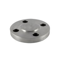 1/2"NB 300LB RF Bossed Blind Flange ASTM/ASME SA182 F304/L ASME B16.5 NACE MR.01.75.