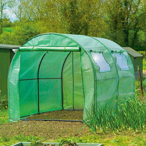 Polytunnels