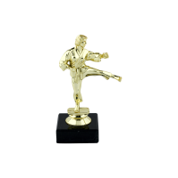 14cm Gold KarateTrophy Female (V201)