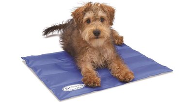 Scruffs Cool Mat - Small