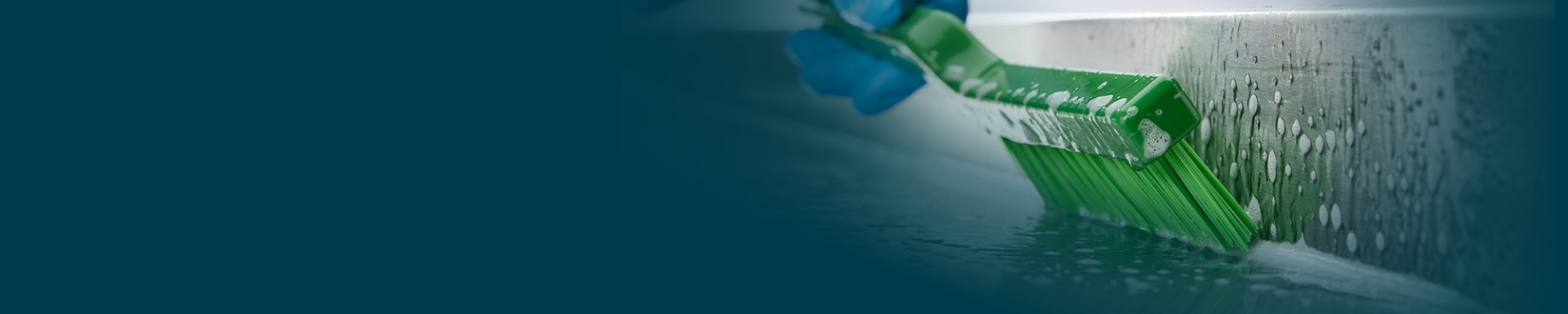 <div style="font-family: 'Montserrat';"><span style="color:#2e9e46;font-size:2.5rem"><b>Trusted Food Safety Solutions,<br> Delivered Fast</span></b><span style="color:#ffffff;font-size:2rem"><br>Same-day despatch on stock orders placed before 4pm</span><br><a href="?utm_source=homepage&utm_medium=banner&utm_campaign=dc" class="btn green"><b>Log in</b></a></div>