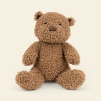 Bear Ourson Medium 22cms
