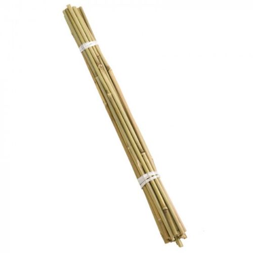 60cm Bamboo Canes - Bundle of 20