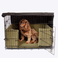 Danish Design Crate Set Olive