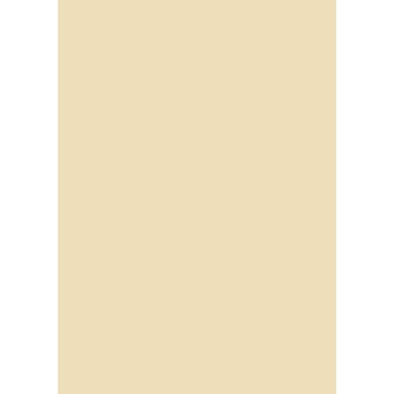 Farrow & Ball Matchstick Colour Swatch