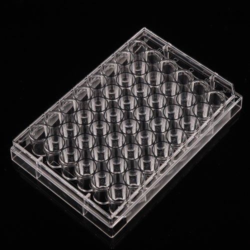 Cell Culture Plates WhiteSci