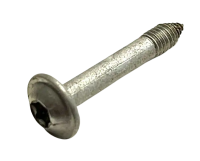 Ambrogio Screw 042Z17800A