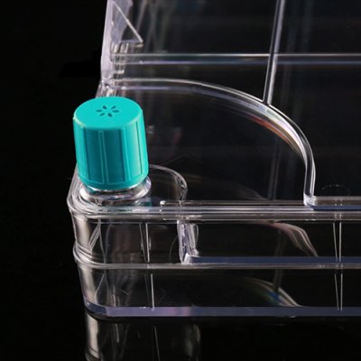 Cell Culture System - WhiteSci