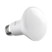 R80 LED LAMP 