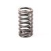 VALVE SPRING