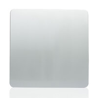 TRENDI SINGLE BLANK PLATE SILVER