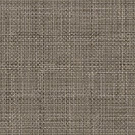 Silver & Brown Lined - NE37