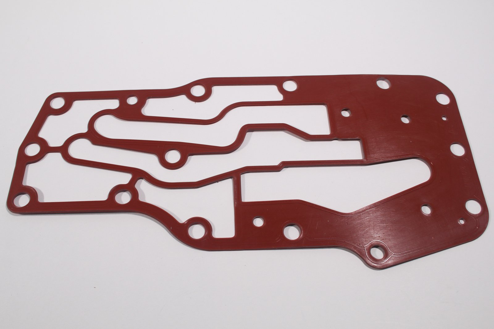 GASKET FILTER HEAD