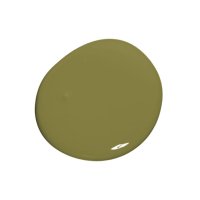 Colourtrend Leafy Green Colour Swatch